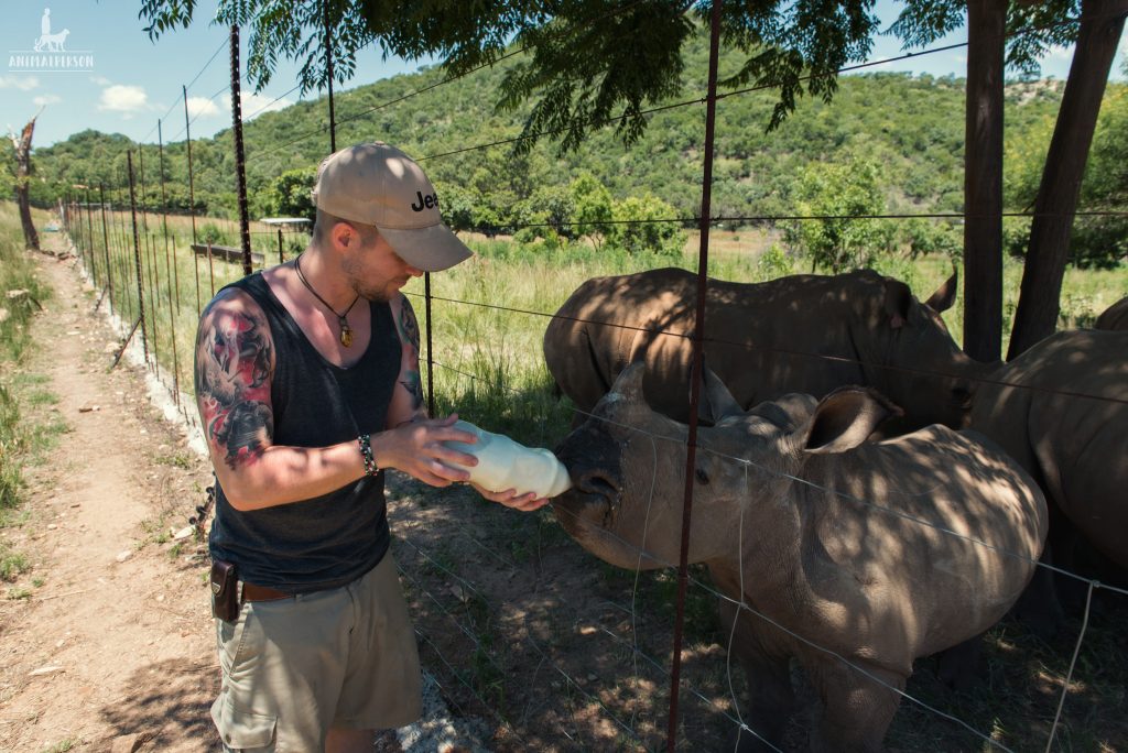 Sebastian Hilpert und die Opfer des Rhino-War