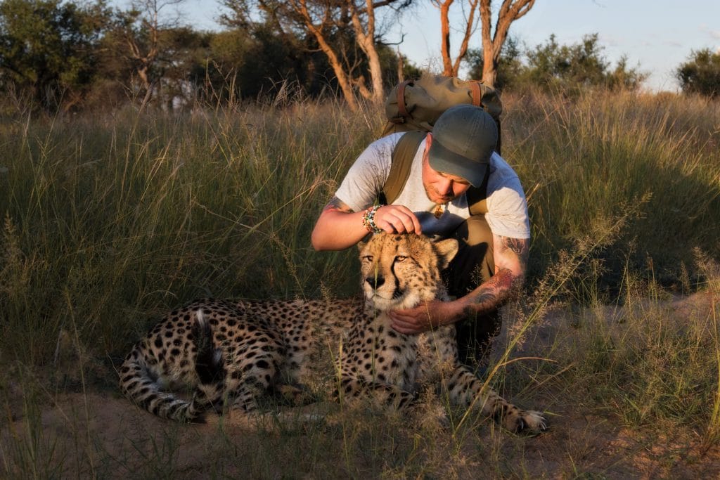 Sebastian Hilpert pflegt Gepard in Namibia