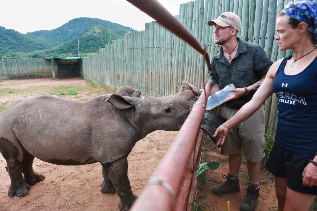 Care for Wild - Rhino Sanctuary