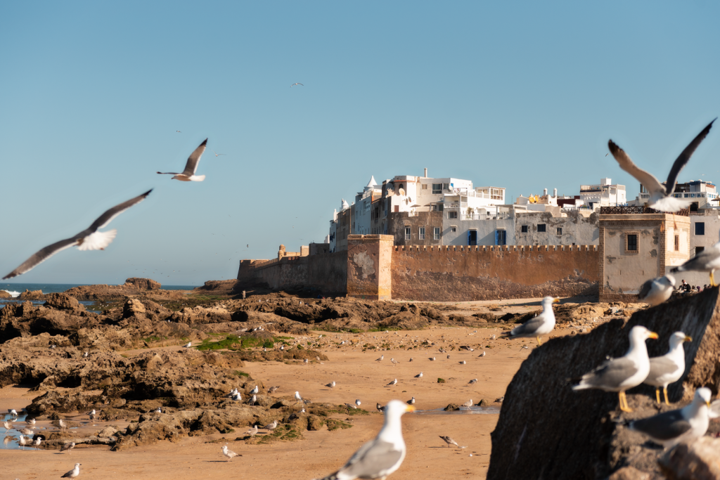 Essaouira, Marokko, Marrakesch Blog, Fotograf Sebastian Hilpert